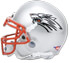 New Mexico Lobos